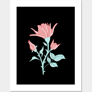 soft pink rose Posters and Art